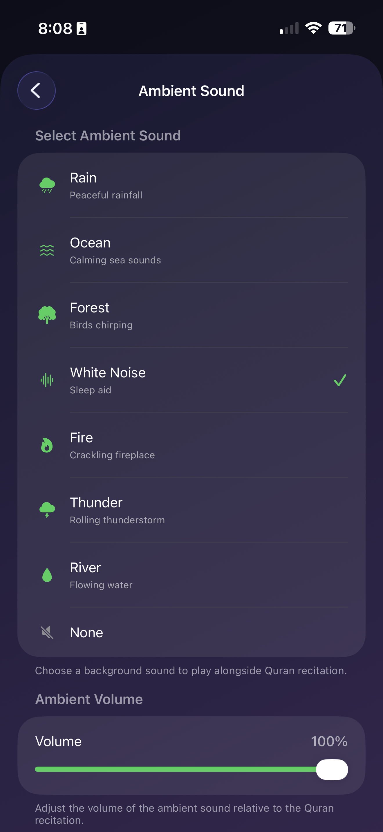 Audio Player with Ambient Sounds